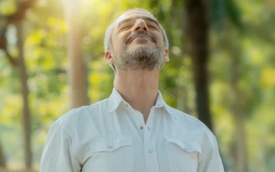 Mold and Beyond: 10 Tips to Enhance Indoor Air Quality