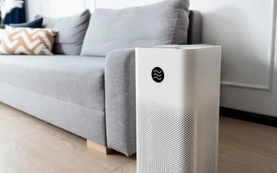 How Air Purifiers Battle Mold and Boost Indoor Air Quality
