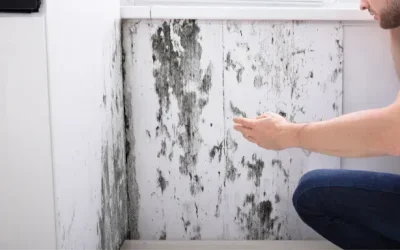 Unveiling the Most Common Places to Find Mold