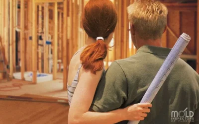 What’s In Your Dream Home: How Mold Can Affect All Property Investments