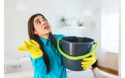 7 Common Warning Signs Mold is in Your Home