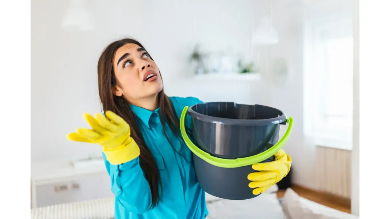Mold-Inspectors-of-Flordia-Dec.-21-Image-1920w