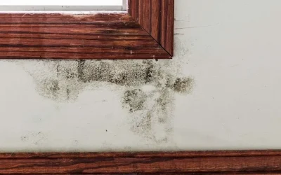Worried that you are missing common warning signs of mold in your home? Your home can be one of the most significant investments you will ever make. Not only is your home a substantial financial investment, but it is also your place of sanctuary, memories, laughter, family gatherings, and special moments. Every homeowner fears inevitable house repairs, knowing they could cause their piece of heaven to quickly become a piece of hell! Mold is a real and looming fear in many homeowners’ minds, first because identifying and detecting possible mold problems can be intimidating and second because mold can be extremely daunting to remove! There are thousands of mold variations that are commonly found in households. Interested in learning more about mold variations? Check out our blog here. Mold is not easily detectable, making it a silent killer to the structural integrity of your home and your family’s health! Regardless of the type of mold growth, it is vital to identify it and remove it as quickly as possible. Common places mold grows are basements, bathrooms, poorly ventilated dryers, dishwashers, or areas prone to flooding or leaks. We know identifying mold within your home can feel intimidating. Don’t fear! We are here to help you along in this tricky process. If you are anxious that your home may have a potential mold problem, then you have come to the right place. Here we will discuss the top 7 signs mold may be growing in your home! 1. Unwanted Water in Unwanted Places? Leaking or Flooding Have you ever experienced a water leak or flooding in your home? It is incredibly challenging to remove all the moisture in your home after an unwanted floor or water leak. Sadly, these hard-to-reach (and often forgotten) places are perfect breeding grounds for mold. If your home has experienced an unwelcome leak, there is a chance that mold is hiding where the water was. Mold flourishes in damp, dark places such as under floors and behind the paint in your walls, making it difficult to see. Cracks and bubbles forming within your paint or wallpaper or bulging or warped walls can be a strong sign of mold burrowing under the surface. Another indicator of mold growth is water stains or discoloration on your floors, ceilings, or walls. 2. Drip… Drip… Drip… Condensation Chilly, rainy day out? Cozying up near the window with a good book and cup of tea? Take a minute to note if there is any condensation forming on your doors and windows. If you see any condensation, this is a clear indicator of a substantial amount of moisture in the air. Concentrated amounts of moisture in the air will inevitably lead to mold. Mold thrives in humid, damp environments. Therefore, it is important to invest in a quality dehumidifier when preventing mold growth in a high-humidity climate. A dehumidifier can allow you to set the desired humidity level in your house, enabling you to remove excess dampness. 3. Feeling Under the Weather? Mold can cause a plethora of underlying health conditions, and reactions can be severe in some cases. For example, if you or a family member suffers from allergies or asthma, mold can significantly enhance your symptoms, making it difficult to breathe! Want to learn more about respiratory concerns due to mold-related illness? Check out our in-depth article covering this topic here. Frequent headaches and nosebleeds can also be indicators of mold growth within your home. As well as a constant runny or itchy nose, watery eyes, coughing, sneezing, and skin irritations. Unsure if your health conditions are mold-related? A great way to test the theory is to spend a concentrated amount of time outside your home and note if your symptoms lessen or go away entirely. 4. What’s That Smell? A key indicator of mold is its very distinct smell. Mold smells musty, damp, or earthy. Once you grow used to smelling a particular order, your brain will stop taking note of it, and you will no longer notice it. An easy way to tell if your house might have mold is to close up your home for 2-3 days and then return. After that, you may be able to smell mold within your home. As we discussed earlier, you don’t always (and often can’t) visually see mold, so if you can smell mold within your home, it is important to look into it! Check out our detailed article concerning the various smells of mold and what to do about it! 5. Rust Take a few minutes to notice any metal surfaces you might have within your home; if you see rust along these surfaces, that is a clear indicator of excess moisture within your home. Mold is unlikely to grow on a metal surface because it prefers organic substances. However, rust is still a warning sign you shouldn’t ignore. If you see rust occurring in your home, it is important to pursue the potential mold issue further! 6. Allergies Mold is a living, breathing organism and releases microscopic spores into the air of your home, which you in turn unknowingly inhale. These spores cause an immune response, similar to the immune response triggered if you were to come into contact with any other germs, virus, or foreign bacteria. If you feel you are constantly struggling with “seasonal” allergies or flu-like symptoms, your immune system may be working to fight off the mold toxins within your home. Mold can cause allergy-like symptoms such as a sore throat, coughing/sneezing, a runny nose, and irritated skin. 7. I See You Growing! Knowing exactly what to look for is critical when on a mold hunt! Mold often appears in the form of small dark spots and is easily mistaken for specks of dirt or smudges. Sometimes it appears as a light, silky thread. Need a detailed overview of the various types of mold, so you are confident in your mold hunt? Check out our article here discussing just that. Another sure sign that black mold, in particular, is present in your home is the speed at which it grows. Black mold spreads at a rapid pac7 Common Warning Signs Mold is in Your Homee and is splotchy and black or brownish in color. The above signs are helpful indicators of mold within your home, but professionals should do mold testing. While you can purchase mold test kits on your own, they are costly, and if you are unsure how to use these tests correctly, you can miss critical areas where mold is growing. If you suspect you have mold in your home, are unsure, or are seeking peace of mind, call us to request an inspection. We offer comprehensive mold inspection reports that include valuable details such as photographs of the impacted area(s) and explanations of where and why the mold is present. Our reports have a quick turn-around time and are available within 72 hours of assessment. For an additional charge, you can have your results as quickly as 24-hours after inspection. We strive to help your home remain your sanctuary! Here’s to your peace of mind! Interested in staying up to date with the latest and greatest in the world of mold? Follow us on Facebook and Instagram!