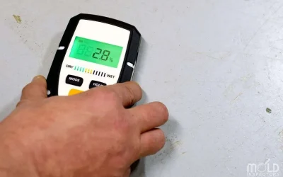 When Do I Need a Mold Inspection?