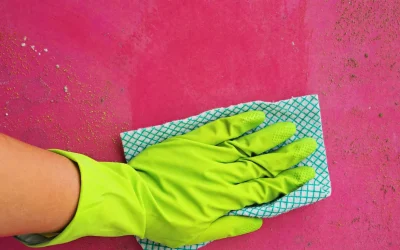5 Reasons DIY Mold Removal Is a Bad Idea