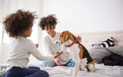 Pets and Mold: The Hidden Poison