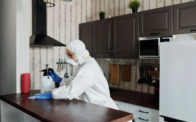 Why You Need a Professional Mold Inspection for Your Home